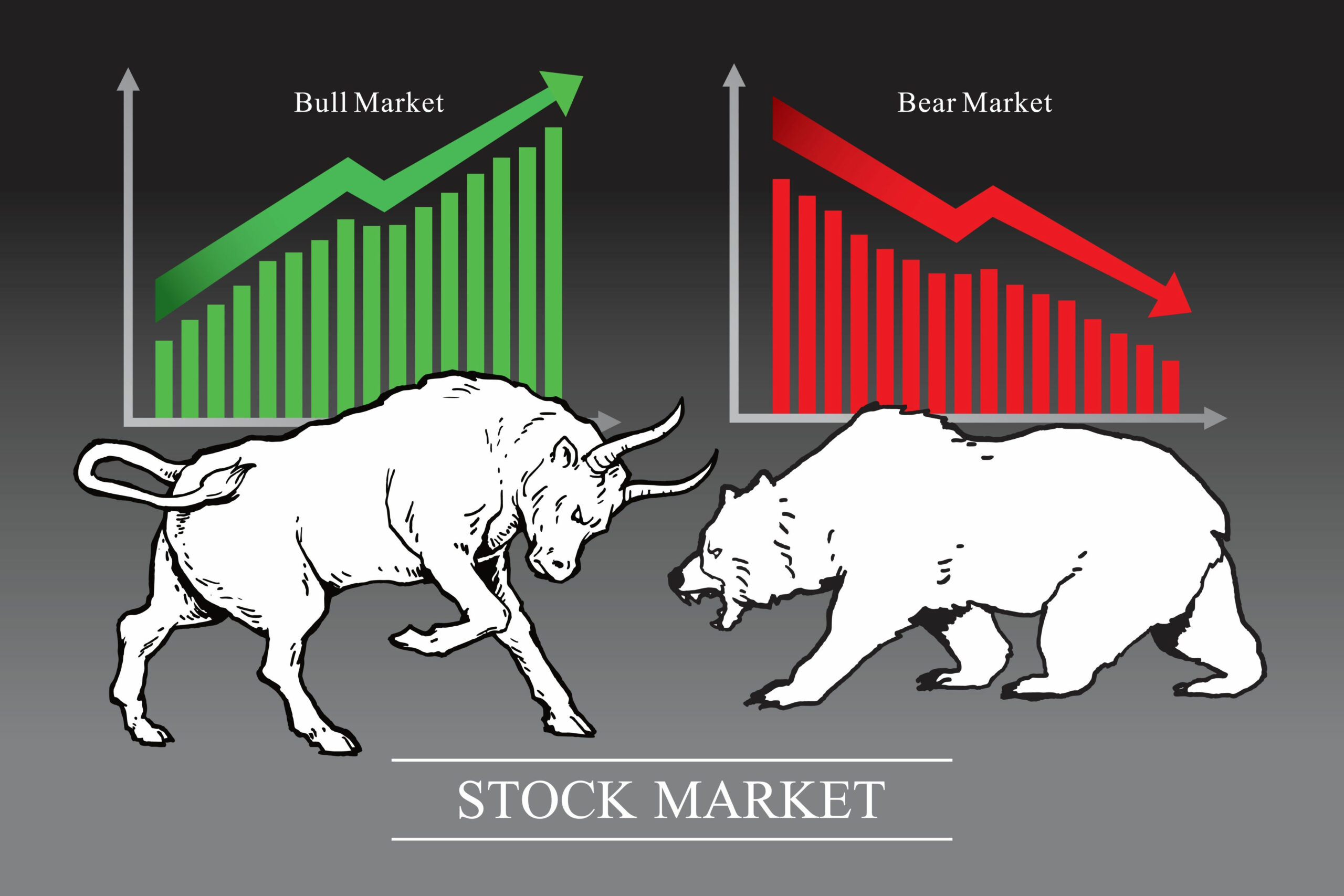 A Guide to Options Trading for Investing